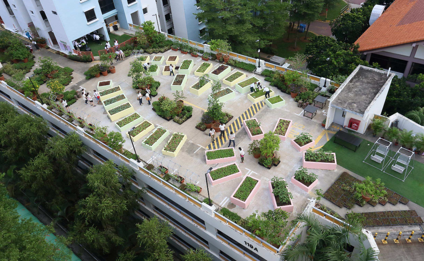 This image shows the roof garden at kim tian which has been converted from a carpark